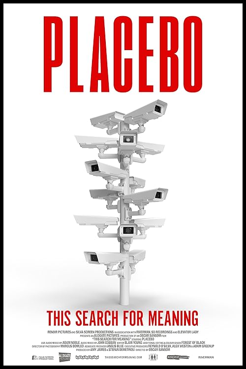 This Search for Meaning