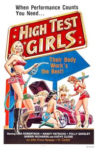 High.Test.Girls.1980.DUBBED.1080p.BluRay.x264-GUACAMOLE – 12.8 GB