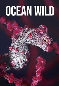 Ocean.Wild.S01.1080p.WEB-DL.AAC2.0.H.264-XME – 10.0 GB