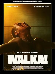 WALKA.2024.1080p.AMZN.WEB-DL.DDP2.0.H.264-Kitsune – 2.7 GB