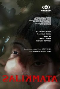 Salikmata.2025.2160p.VMX.WEB-DL.AAC.x264-RSG – 3.9 GB