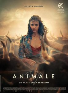 Animale.2024.1080p.Blu-ray.Remux.AVC.DTS-HD.MA.5.1-HDT – 26.5 GB