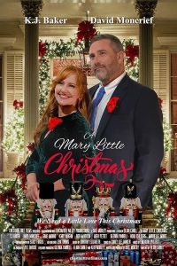 A.Mary.Little.Christmas.2025.1080p.AMZN.WEB-DL.DDP.2.0.H.264-moorkat – 4.1 GB