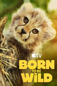 Born.to.Be.Wild.2025.S01.720p.ATVP.WEB-DL.DDP5.1.H.264-NTb – 5.3 GB
