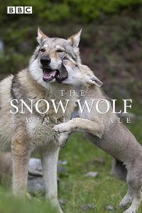 The.Snow.Wolf.A.Winters.Tale.2018.1080p.WEB.h264-Ginnungagap – 3.3 GB