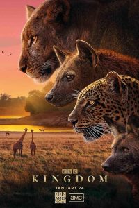 Kingdom.2025.S01.720p.BluRay.x264-NSEFU – 12.7 GB
