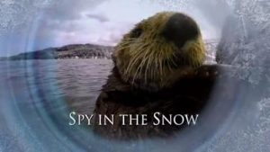 Spy.In.The.Snow.2018.1080p.WEB.h264-Ginnungagap – 3.0 GB