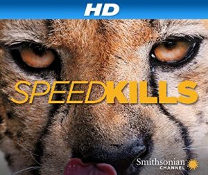 Speed.Kills.S01.1080p.AMZN.WEB-DL.DDP2.0.H.264-Gir0h – 10.2 GB