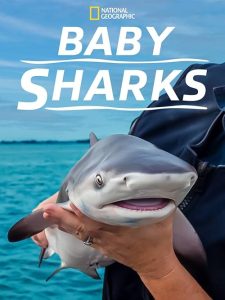 Baby.Sharks.2022.720p.WEB.H264-SHIIIT – 1.3 GB