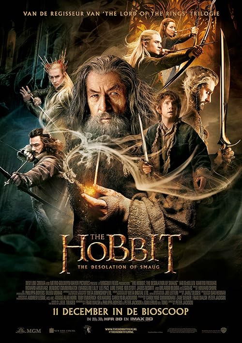 De Hobbit: de Woestenij van Smaug