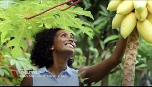 Edible.Wild.S01.1080p.ROKU.WEB-DL.AAC2.0.H.264-FFG – 3.8 GB