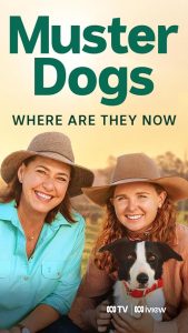Muster.Dogs.Where.Are.They.Now.S02.1080p.WEB-DL.AAC2.0.H.264-WH – 3.6 GB