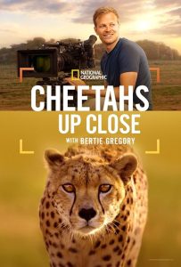 Cheetahs.Up.Close.with.Bertie.Gregory.2026.720p.WEB.H264-SHIIIT – 1.2 GB