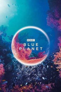 The.Blue.Planet.S01.1080p.AMZN.WEB-DL.DD+2.0.H.264-playWEB – 26.9 GB