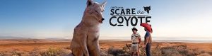 Scare.The.Coyote.2025.S01.1080p.WEB-DL.AAC2.0.H.264-FIEND – 11.7 GB
