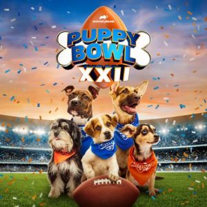 Puppy.Bowl.XXII.2026.1080p.WEB.h264-CBFM – 8.6 GB