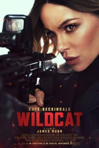 Wildcat.2025.720p.AMZN.WEB-DL.DDP5.1.H.264-Kitsune – 2.8 GB