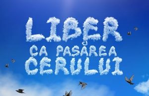 Liber.ca.pasarea.cerului.S01.1080p.NF.WEB-DL.AAC2.0.H.264-playWEB – 16.1 GB