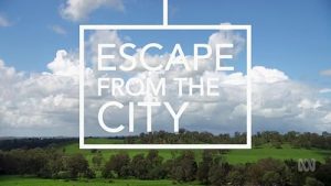 Escape.from.the.City.S01.1080p.TG4.WEB-DL.AAC2.0.H.264-iSHKA – 86.4 GB