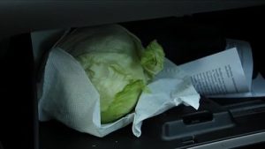 Lettuce.First.Avenue.Minneapolis.MN.11.08.2019.1080p.WEB.H264-HYMN – 3.8 GB