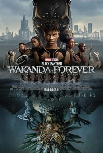 Black.Panther.Wakanda.Forever.2022.IMAX.Hybrid.1080p.BluRay.DDP7.1.x264-ZoroSenpai – 17.4 GB