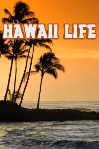Hawaii.Life.S08.1080p.DSCP.WEB-DL.AAC2.0.x264-THM – 9.9 GB
