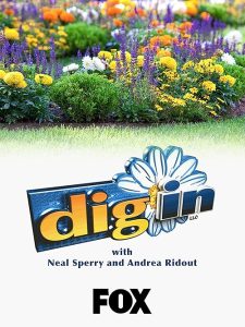 Dig.In.S01.1080p.DSCP.WEB-DL.AAC2.0.x264-THM – 9.9 GB