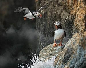 Inside.Britains.National.Parks.S01.1080p.WEB-DL.AAC2.0.H.264-NOGRP – 15.9 GB