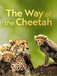 The.Way.of.the.Cheetah.2022.1080p.DSNP.WEB-DL.DD+5.1.H.264-NTb – 2.5 GB