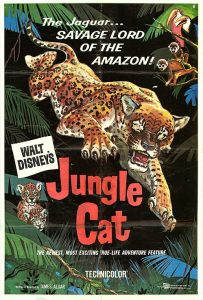 Jungle.Cat.1960.1080p.WEB.H264-SHIIIT – 3.9 GB