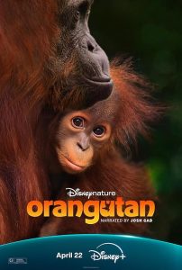 Orangutan.2026.2160p.DSNP.WEB-DL.DDP5.1.Atmos.DV.HDR.H.265-BiOMA – 9.4 GB