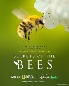 Secrets.of.the.Bees.S01.1080p.WEB-DL.DDP5.1.H.264-GRACE – 4.7 GB