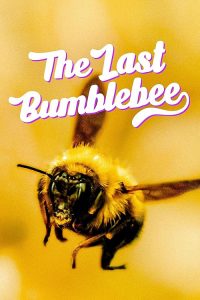 The.Last.Bumblebee.2024.1080p.AMZN.WEB-DL.DD+2.0.H.264-playWEB – 5.1 GB