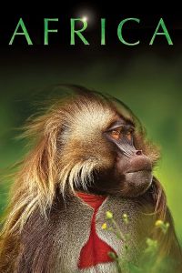 Africa.2013.S01.1080p.AMZN.WEB-DL.DD+2.0.H.264-playWEB – 17.7 GB