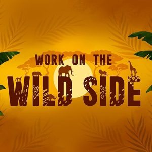 Work.On.The.Wild.Side.S02.1080p.WEB-DL.AAC2.0.H.264-CBFM – 28.1 GB