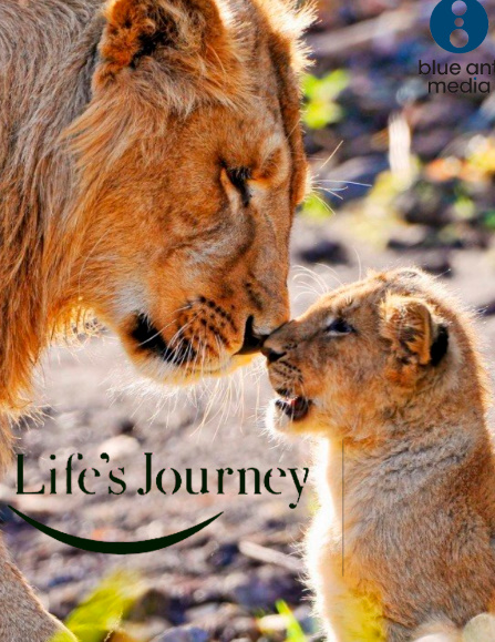 Life's Journey