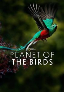 Planet.of.the.Birds.2018.1080p.WEB.H264-SHIIIT – 2.7 GB