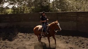 Native.Ride.S01.720p.WEB-DL.AAC2.0.H.264-BTN – 2.3 GB