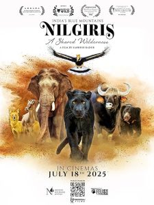 Nilgiris.A.Shared.Wilderness.2024.720p.DSNP.WEB-DL.DD+5.1.H.264-playWEB – 1.3 GB