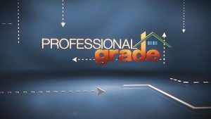 Professional.Grade.S02.1080p.DSCP.WEB-DL.AAC2.0.x264-THM – 10.0 GB