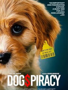 Dogspiracy.2025.720p.AMZN.WEB-DL.DD+5.1.H.264-playWEB – 3.2 GB