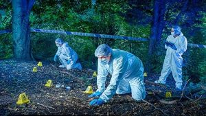 Forensics.Murder.Scene.S01.1080p.MY5.WEB-DL.AAC2.0.H.264-RAWR – 11.4 GB