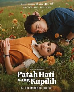 The.Heartbreak.I.Choose.2025.1080p.NF.WEB-DL.DDP5.1.H.264-KQRM – 4.3 GB
