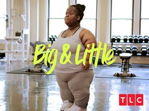 Bigsies.And.Littles.S01.720p.WEB-DL.AAC2.0.H.264-BTN – 1.1 GB