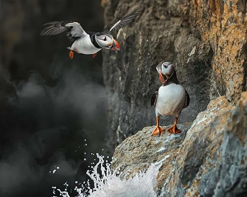 Inside Britain's National Parks