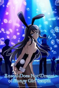 Rascal.Does.Not.Dream.of.Bunny.Girl.Senpai.S01.REPACK.1080p.BluRay.REMUX.AVC.Dual-Audio.FLAC.2.0-StaFer – 77.5 GB