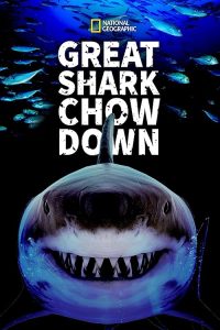 Great.Shark.Chow.Down.2019.720p.WEB.H264-SHIIIT – 1.4 GB
