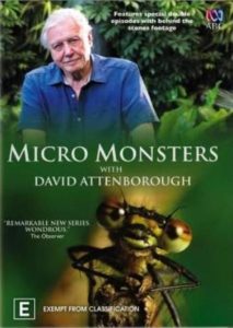 David.Attenborough.Micro.Monsters.S01.2160p.NOW.WEB-DL.DDP5.1.H.265-RAWR – 13.7 GB