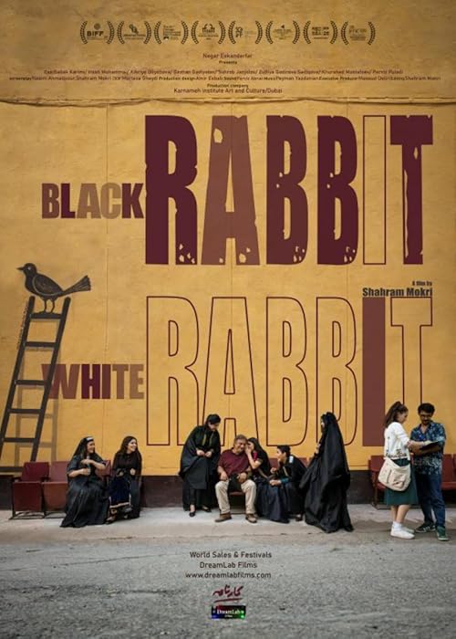 Black Rabbit, White Rabbit