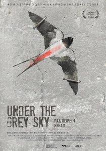 Under.the.Grey.Sky.2024.720p.HMAX.WEB-DL.DDP5.1.H.264-ERBiUM – 1.4 GB